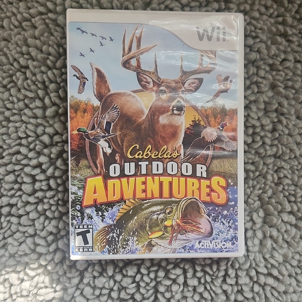 Video Game
